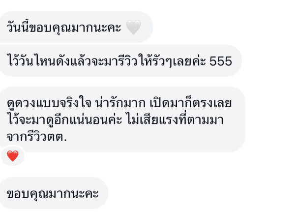 Customer review #19