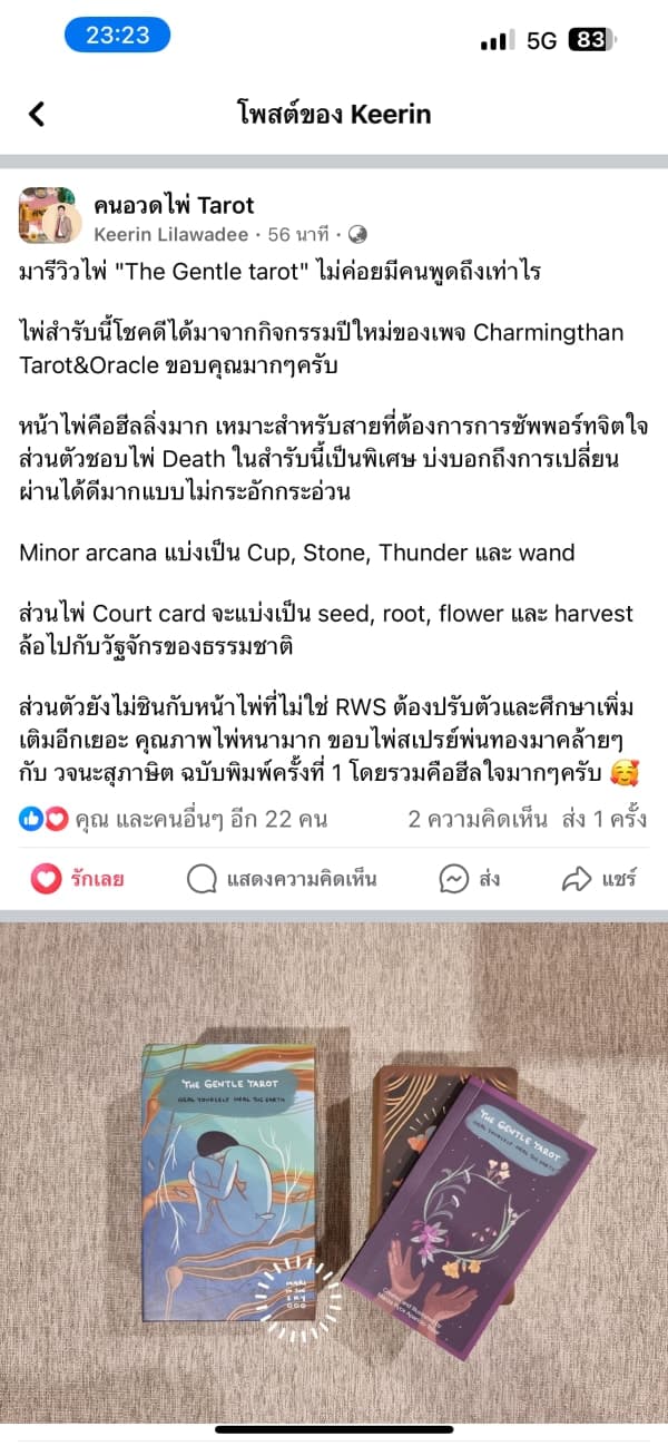 Customer review #39